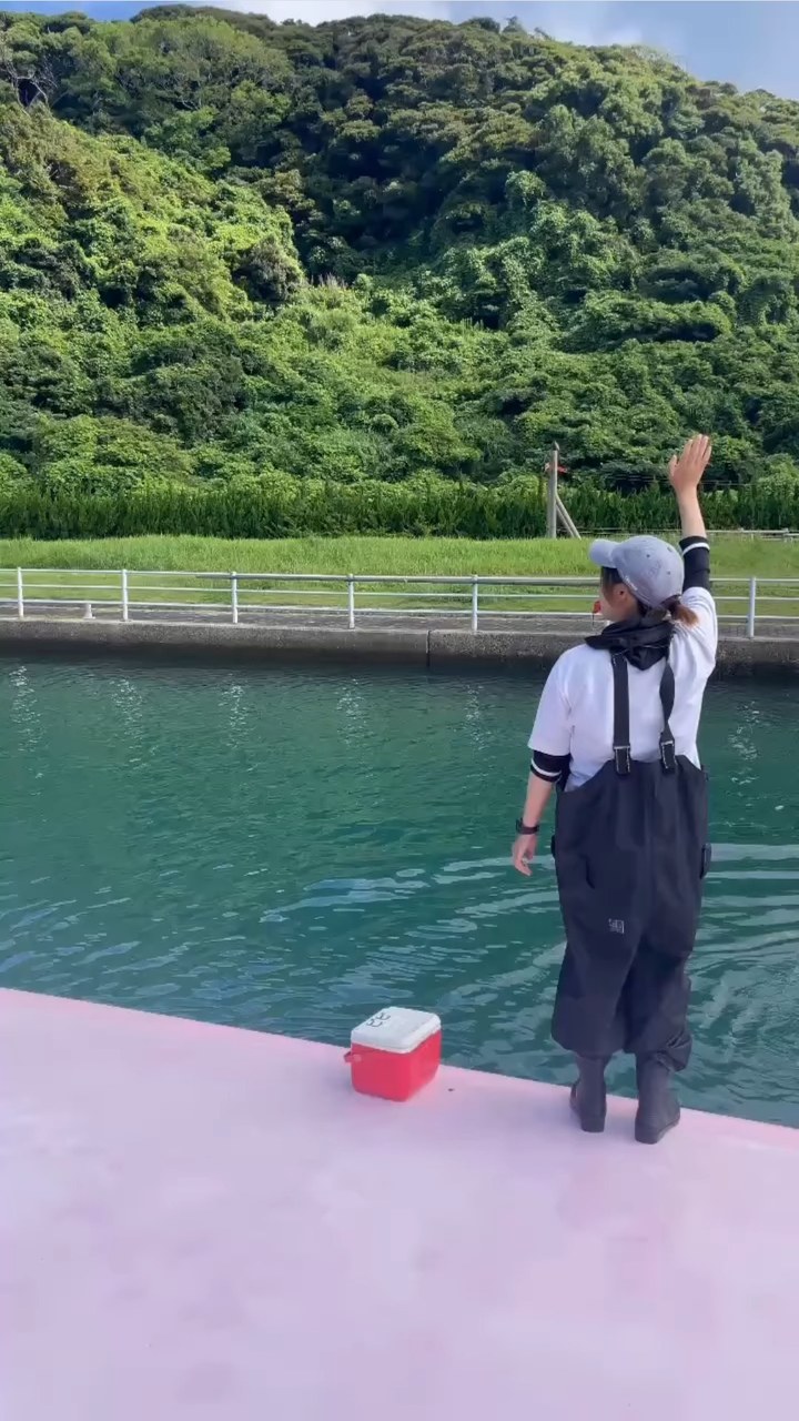 皆さんこんにちわ！最近は暑くなってきましたね☀水分補給をして熱中症には気をつけてください🥤イルカたちは元気にトレーニングを頑張っています！