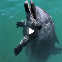 ビビちゃんは何をしているんでしょうか💭