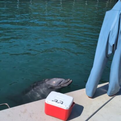 ビビちゃんの水吹き💦