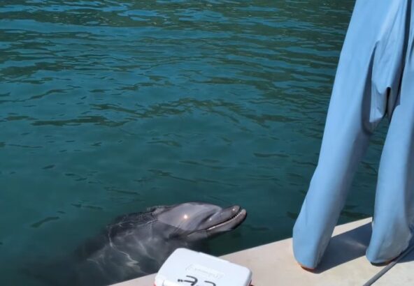 ビビちゃんの水吹き💦