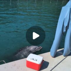 ビビちゃんの水吹き💦