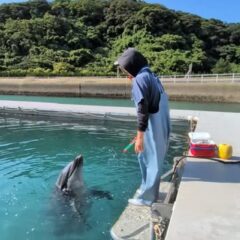 パルくんのフラフープ✨️上手に回せました！！