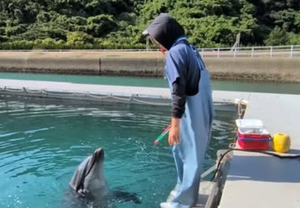 パルくんのフラフープ✨️上手に回せました！！