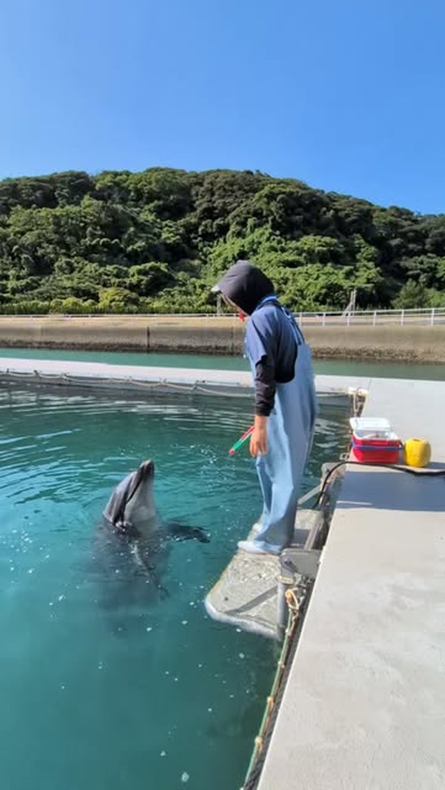 パルくんのフラフープ✨️上手に回せました！