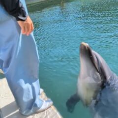 パルくん水中の中でうなずきができるようになりました✨️