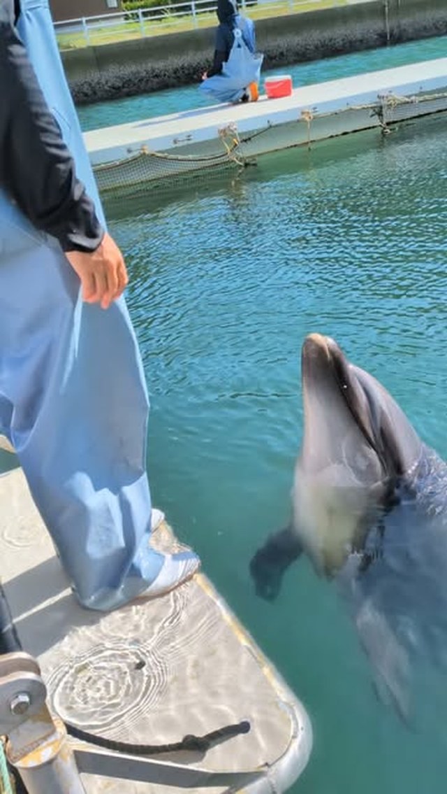 パルくん水中の中でうなずきができるようになりました✨️