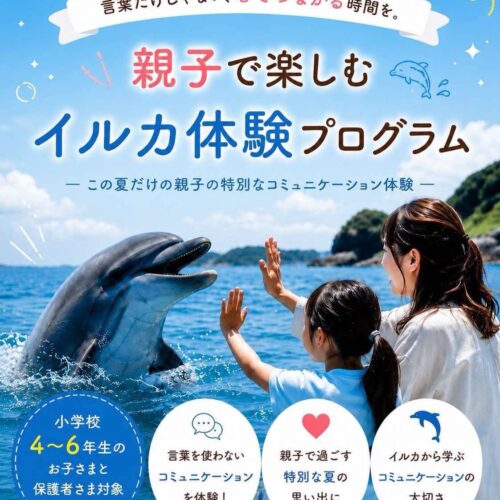 🐬 親子で楽しむイルカ体験プログラム 参加者募集！ 🌻