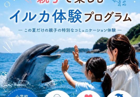 🐬 親子で楽しむイルカ体験プログラム 参加者募集！ 🌻