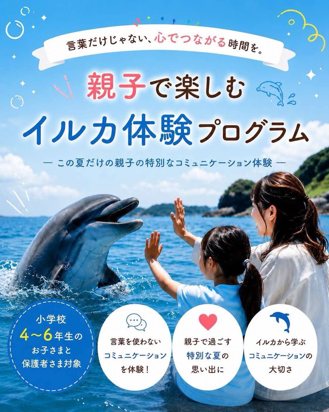 🐬 親子で楽しむイルカ体験プログラム 参加者募集！ 🌻
