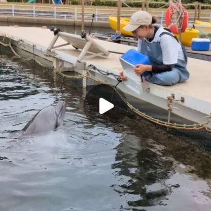 食いしん坊のビビちゃん🐟️お魚まだ入ってないかな～？とちゃんと中も確認しています😆