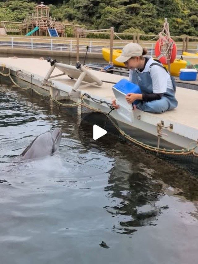 食いしん坊のビビちゃん🐟️お魚まだ入ってないかな～？とちゃんと中も確認しています😆