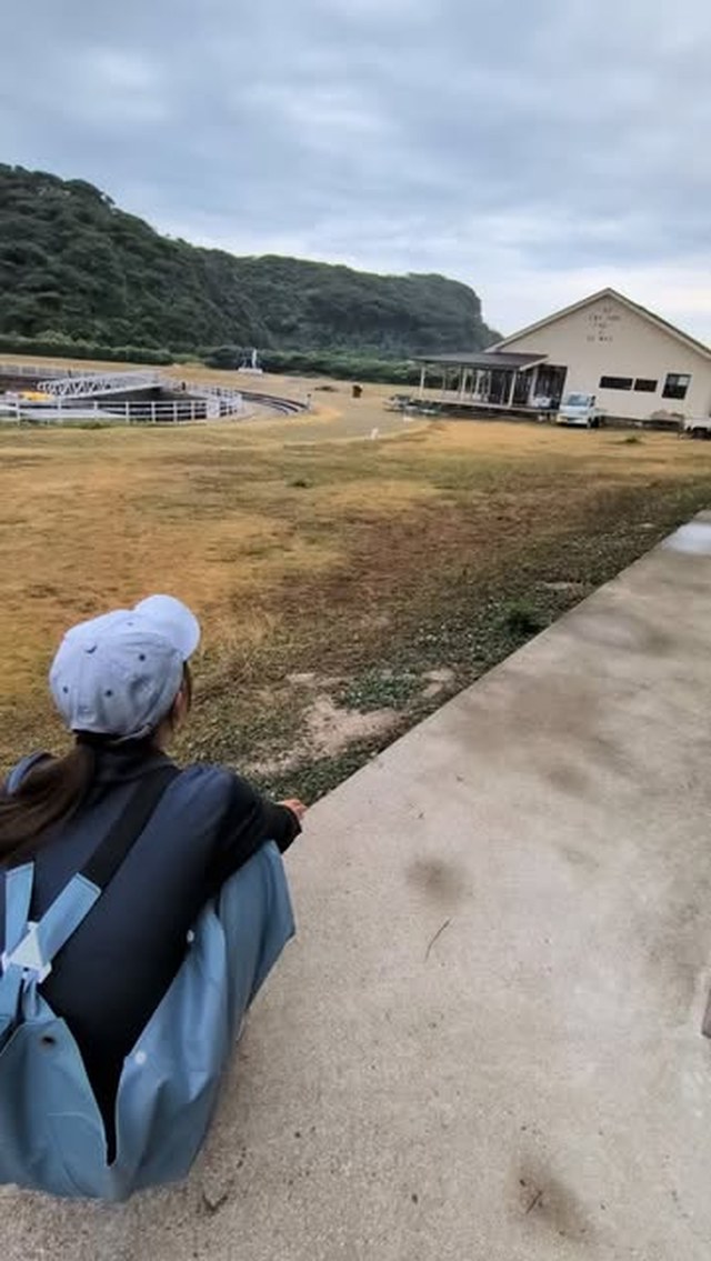 ポムに振られたトレーナー😭