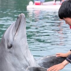 ビビちゃんと握手〜🤝