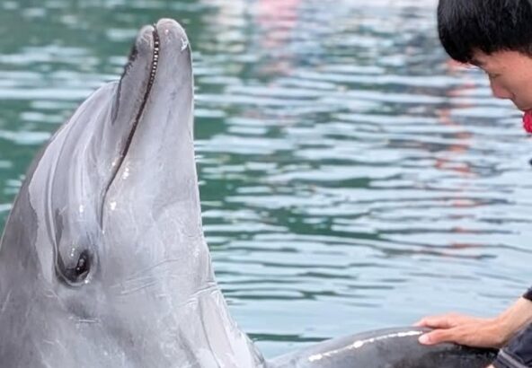 ビビちゃんと握手〜🤝
