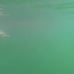 透明度が良かったので綺麗に映像が撮れました✨️