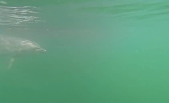 透明度が良かったので綺麗に映像が撮れました✨️