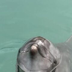 あずきちゃんの可愛い写真が撮れました💖