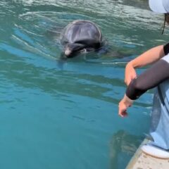 ビビちゃんの背中はこんな感じでとってもプニプニしています！