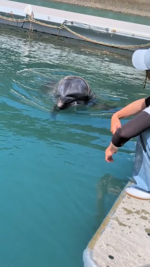ビビちゃんの背中はこんな感じでとってもプニプニしています！