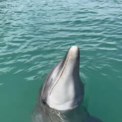 ティダちゃんのジャンプ✨️ビビちゃんに負けないくらい高いジャンプを飛んでます！！