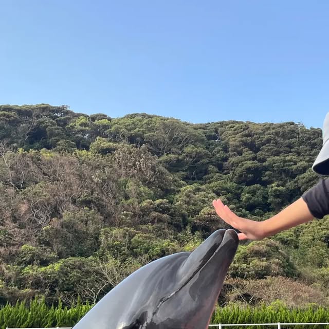 トレーニング終わりにあずきちゃんと遊ぶトレーナー✨️