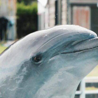 ビビちゃんがジャンプしているところをアップで撮りました📸