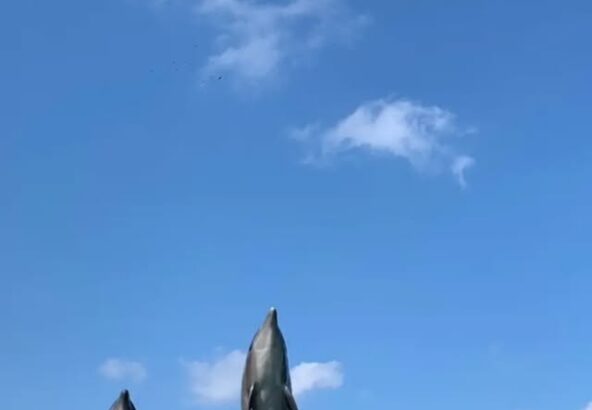 ティダあずのジャンプ💦