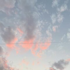 夕焼けと猫🌅🐈綺麗な写真が撮れました✨みなさん、誰が歩いてるかわかりますか？
