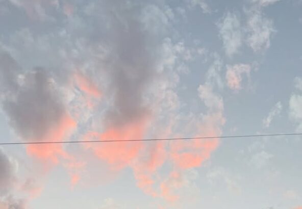 夕焼けと猫🌅🐈綺麗な写真が撮れました✨みなさん、誰が歩いてるかわかりますか？